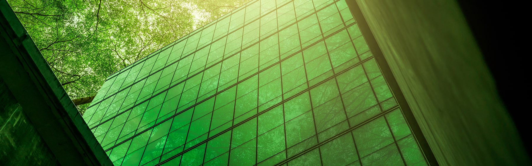 NATUREPROF Company History