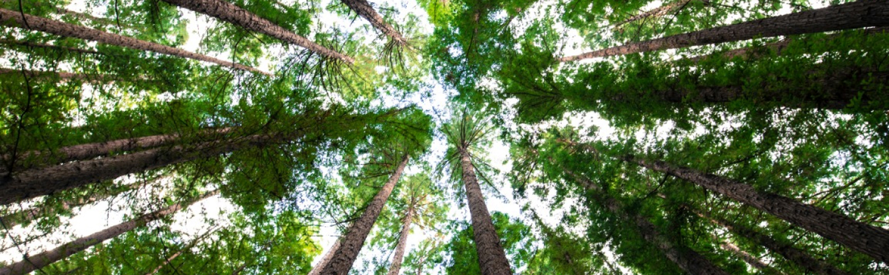 NATUREPROF Sustainability