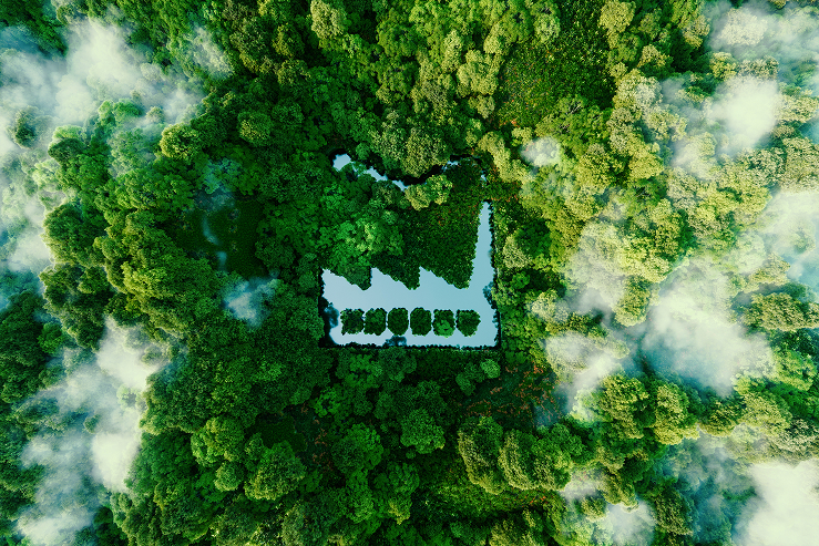Green Manufacturing