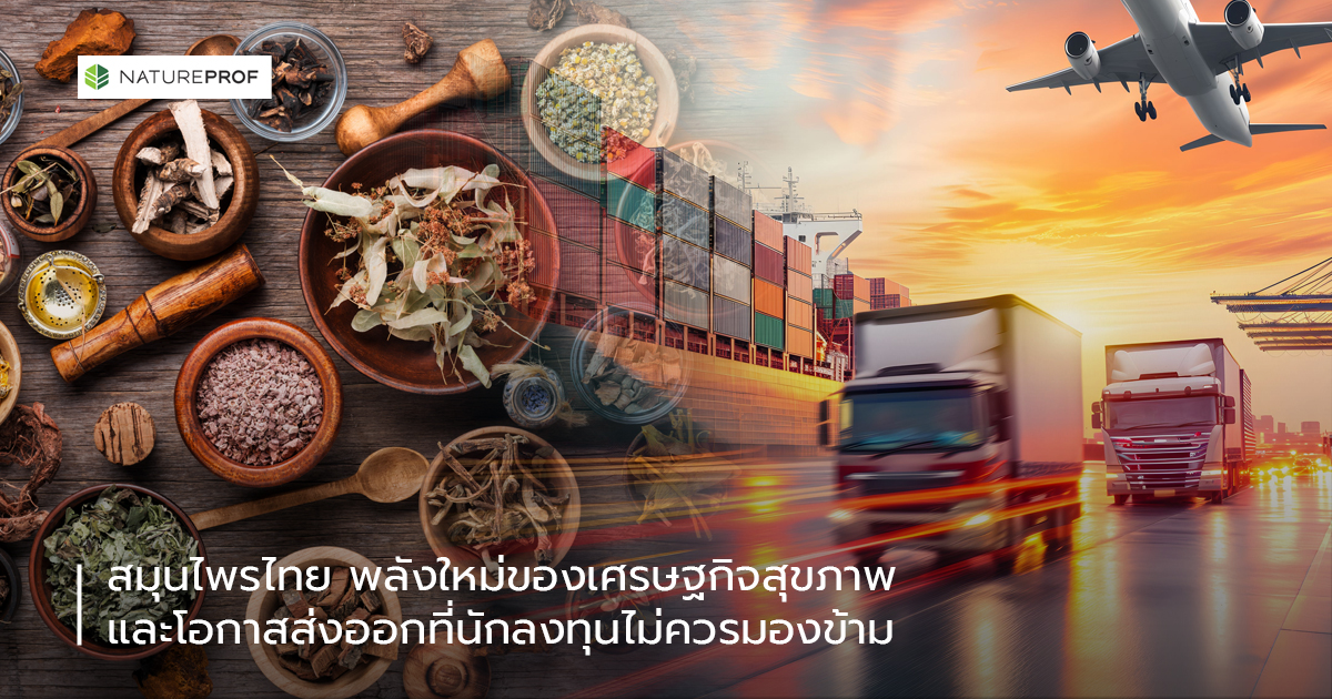 วันนี้และวันข้างหน้า