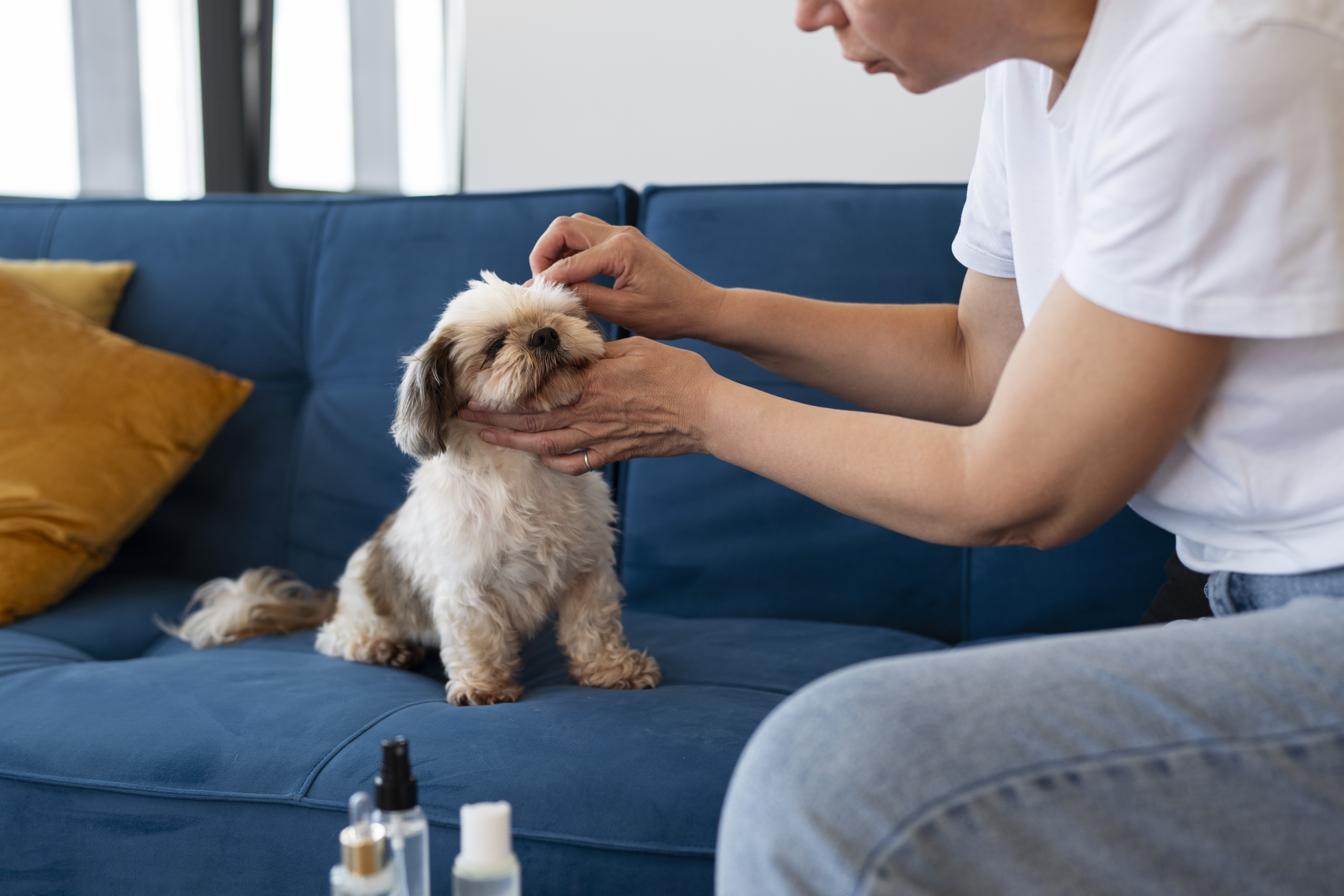 ตลาดสกินแคร์สัตว์เลี้ยง — เซ็กเมนต์ดาวรุ่งของ Pet Economy