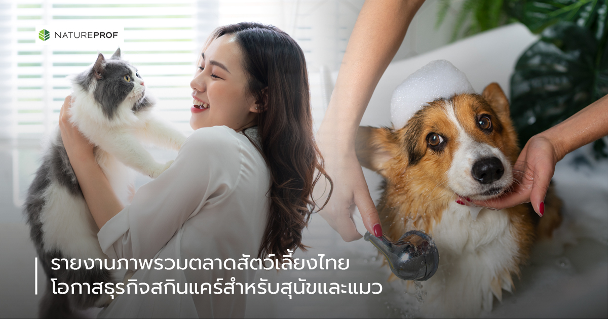 ผลิตภัณฑ์สำหรับสัตว์เลี้ยง