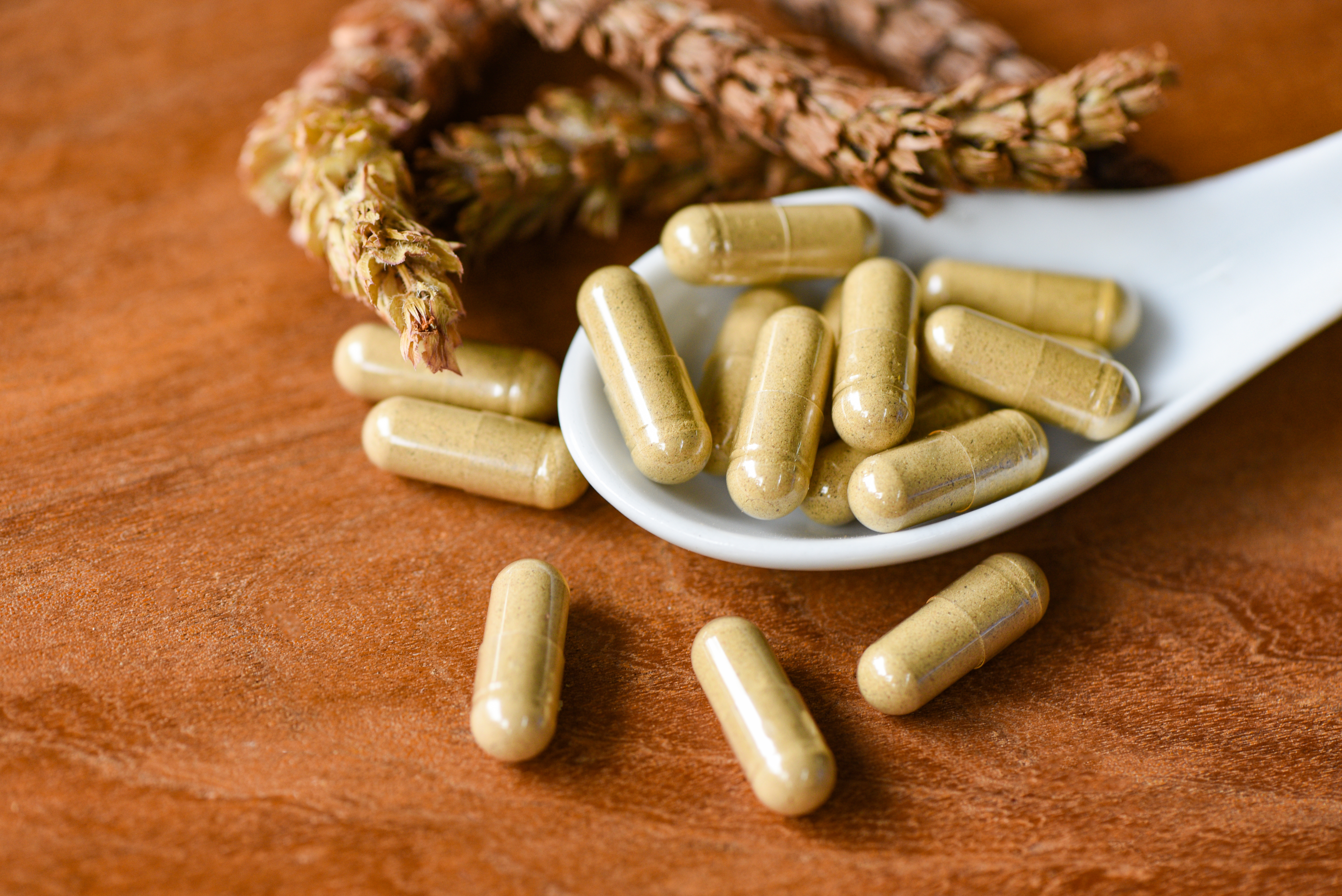 Contract Manufacturing of Advanced Herbal Medicines from International Botanicals (Advanced Herbal Medicines)
