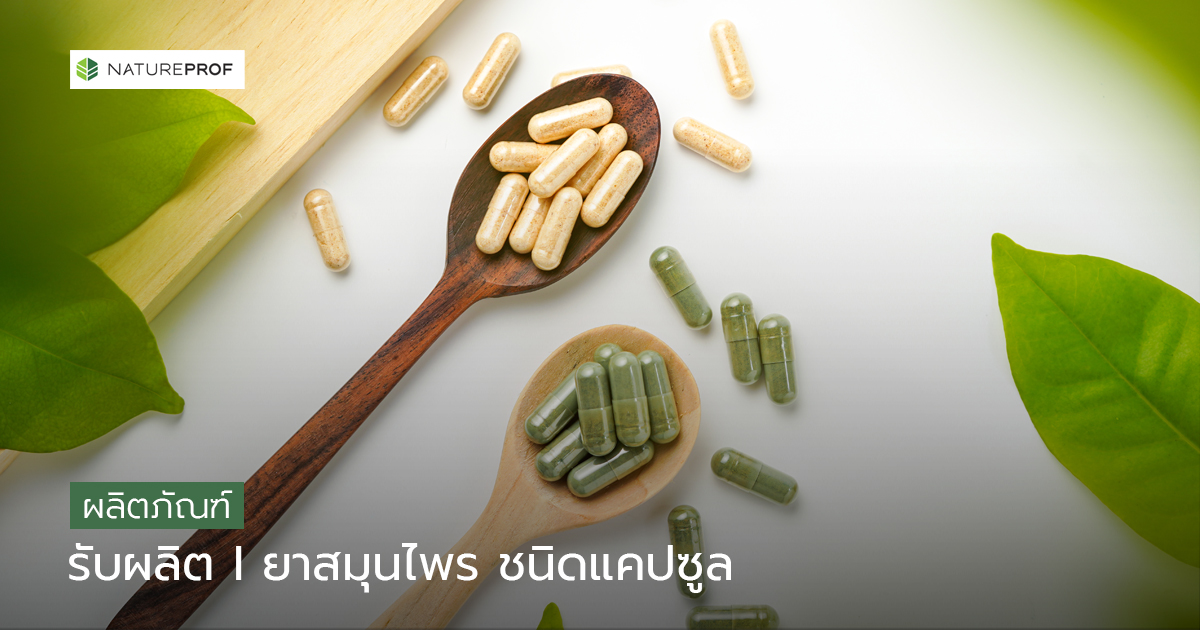 ผลิตภัณฑ์ยาสมุนไพรไทย