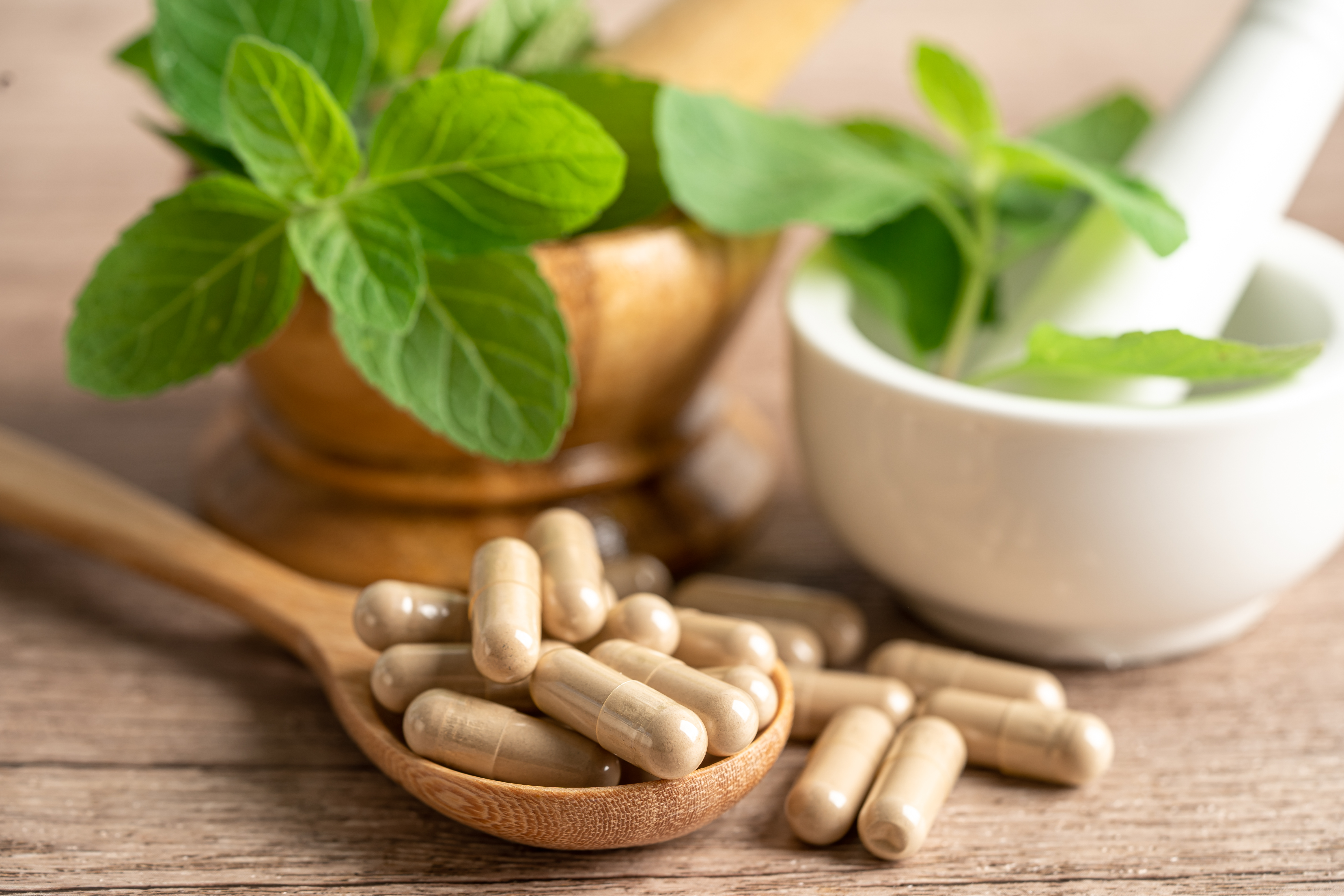 Contract Manufacturing of Herbal Medicines in Capsule Form (Capsules)