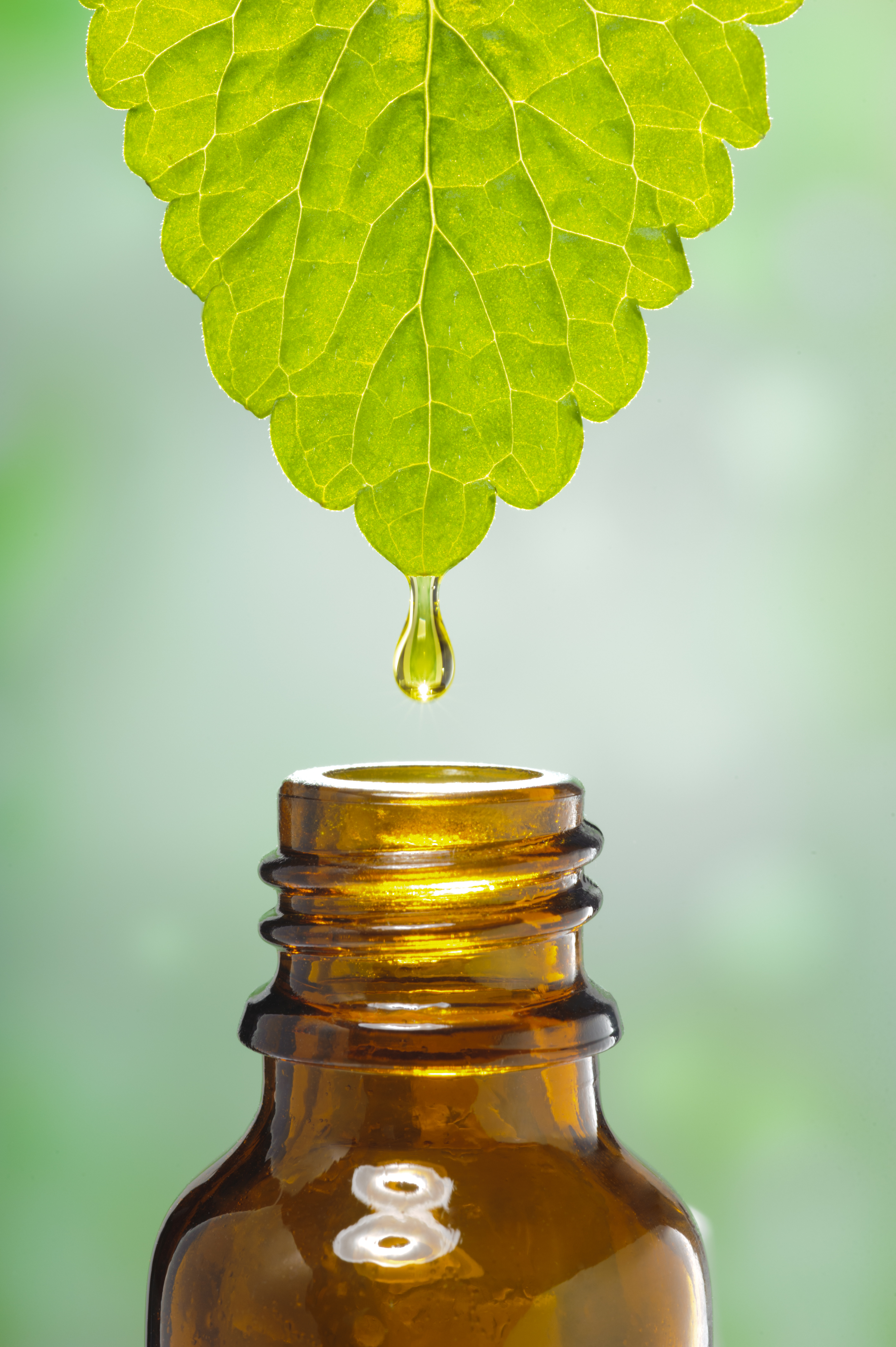 Contract Manufacturing of Herbal Oral Liquids–Suspensions
