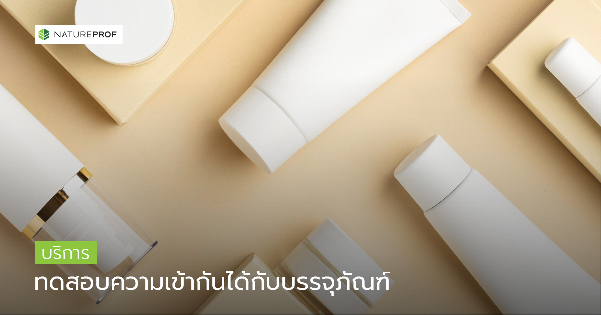 บริการทดสอบระหว่างการวิจัยพัฒนา