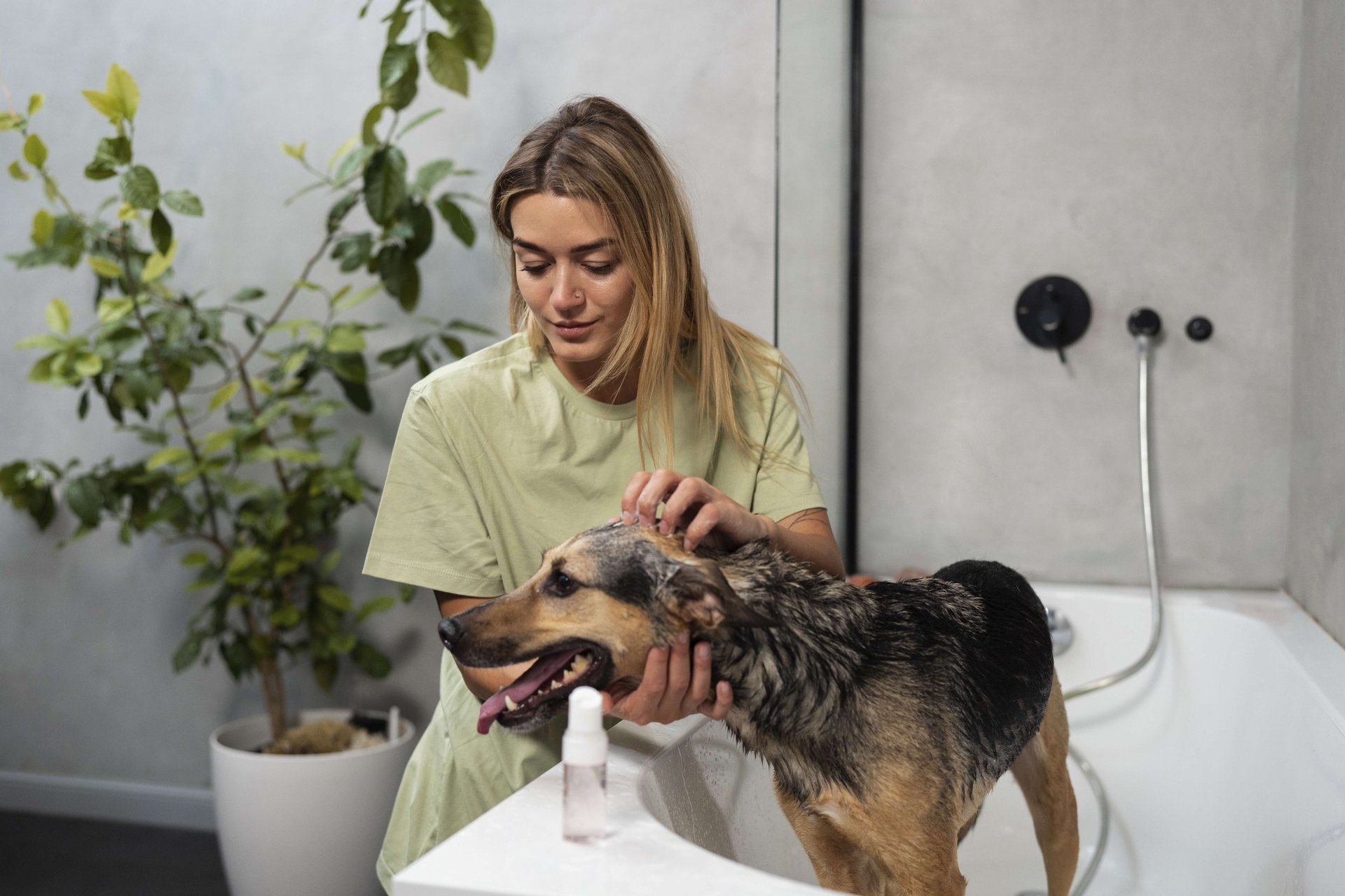An Overview Report of the Thai Pet Market: Business Opportunities in Skincare for Dogs and Cats